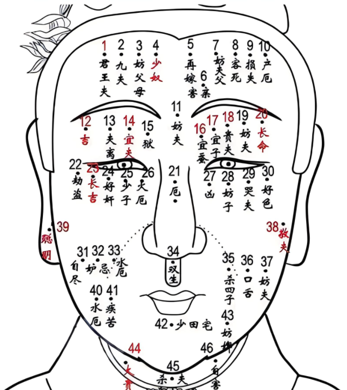 痣的位置与命运图解（痣长在各个位置的含义）