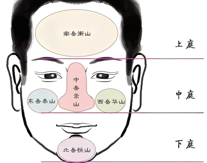 什么样的鼻子财运好？男人鼻型面相分析