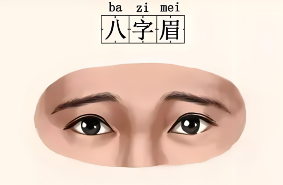 八字眉的女人命运怎么样（八字眉的女人面相详解）