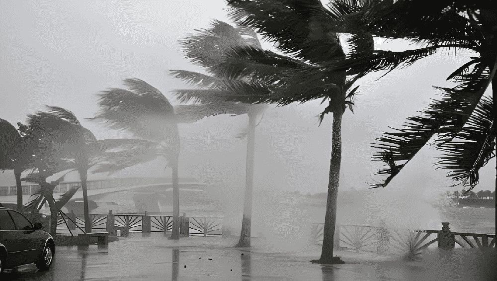 梦见暴风雨