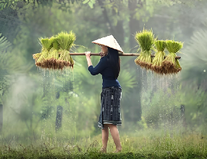 梦见勤劳