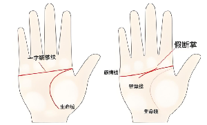 手相格子纹图片图片